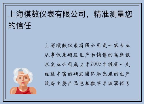 上海模数仪表有限公司，精准测量您的信任